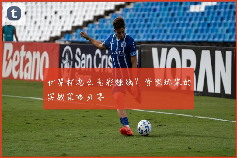 世界杯怎么竞彩赚钱？资深玩家的实战策略分享
