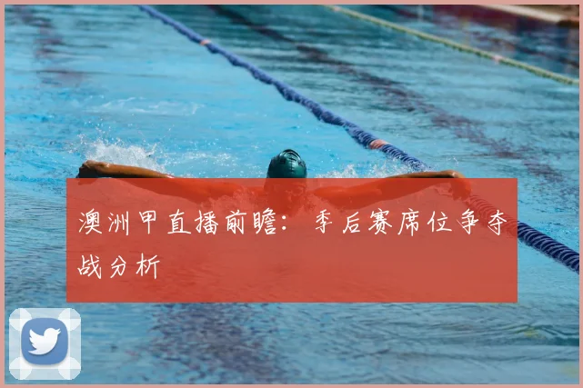 澳洲甲直播前瞻：季后赛席位争夺战分析