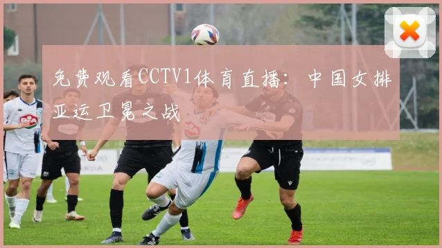 免费观看CCTV1体育直播：中国女排亚运卫冕之战