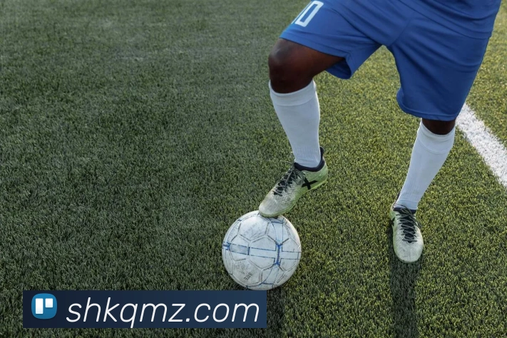 九州体育服务体系